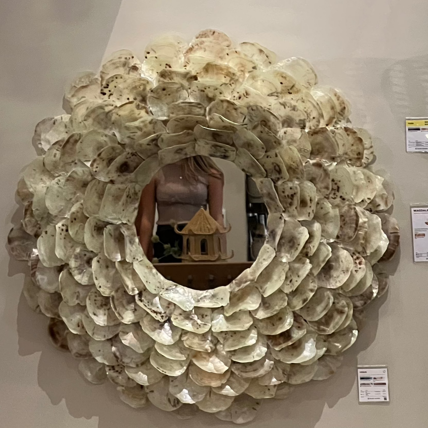 Made Goods Venus Mirror Frost Saddle Oyster Shell Market Photo