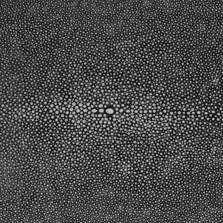 cool gray faux shagreen swatch made goods