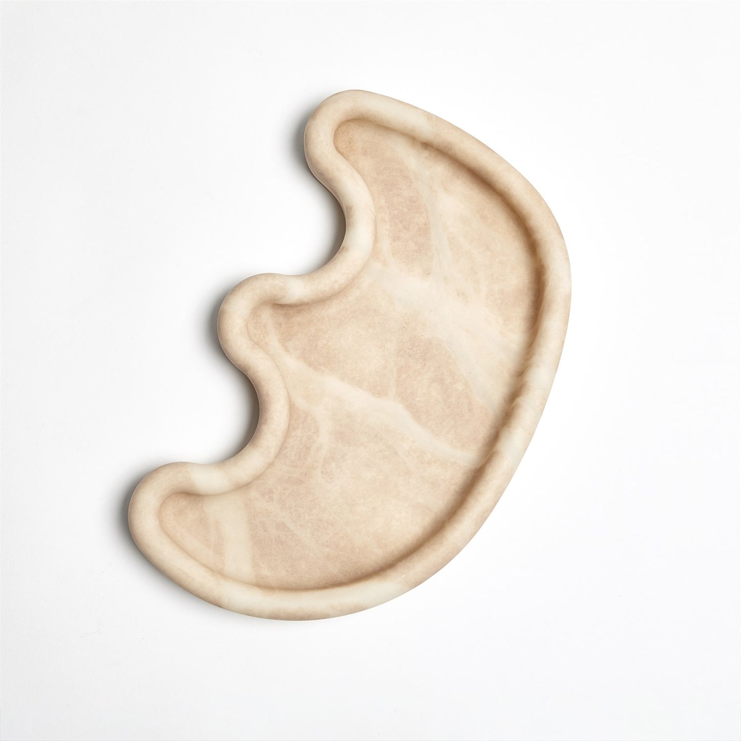 global views amera tray front