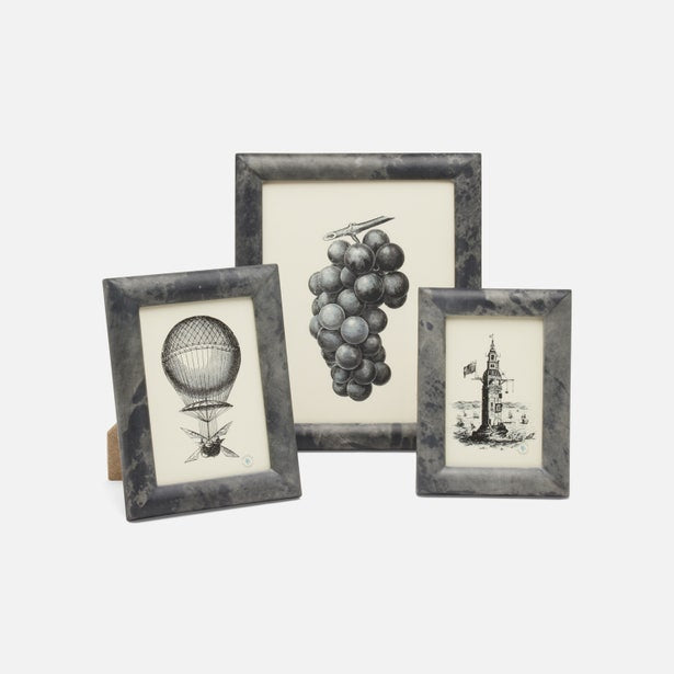 pigeon and poodle raseborg frame gray set