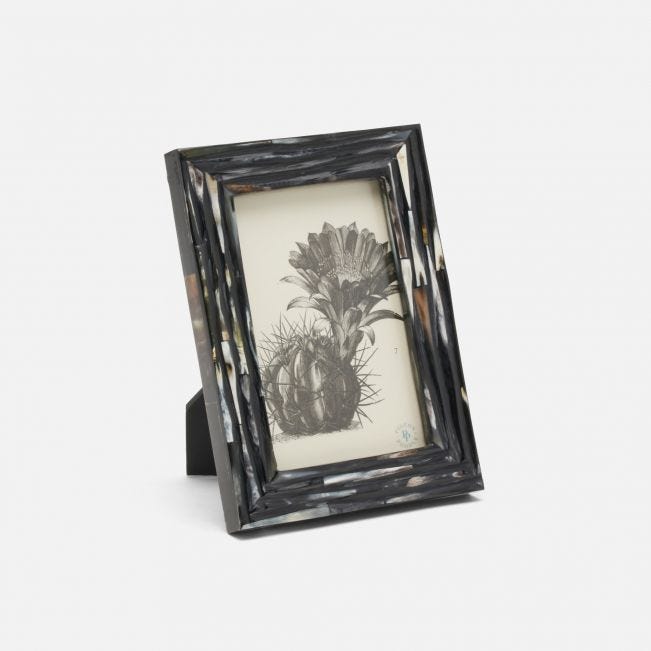 pigeon and poodle winslow frame dark horn