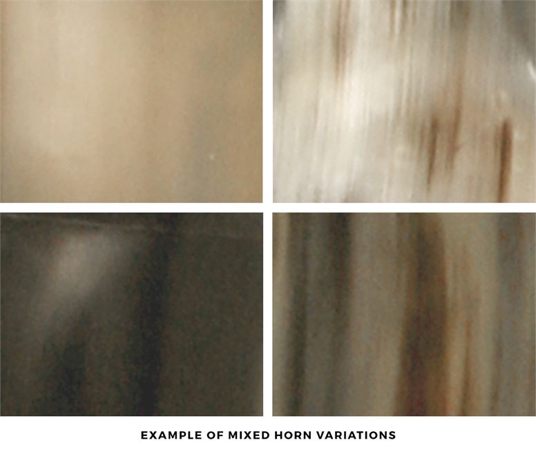 made goods pierson large rectangle mirror mixed horn