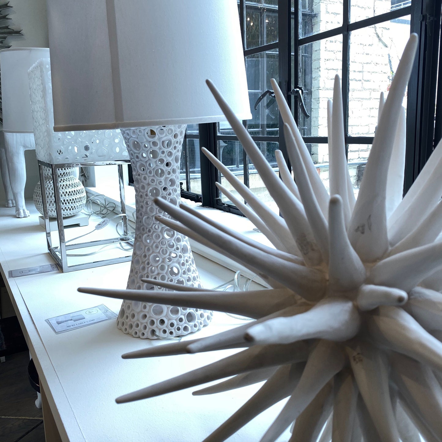 oly sea urchin styled