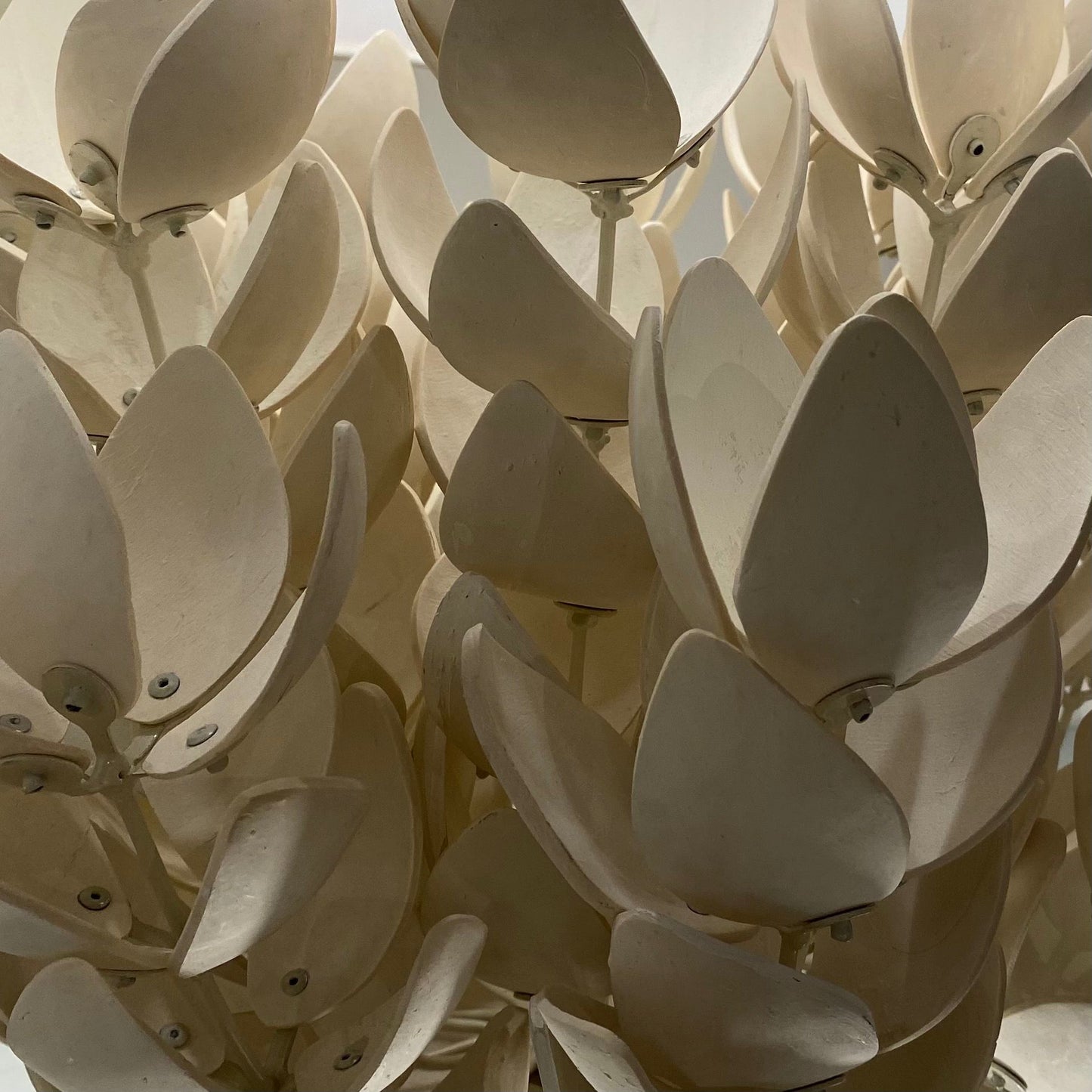 palecek coco magnolia sconce detail