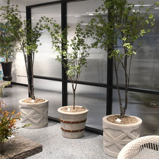 Made Goods Newton Planters