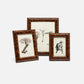 Three tortoiseshell picture frames with botanical prints on a white background