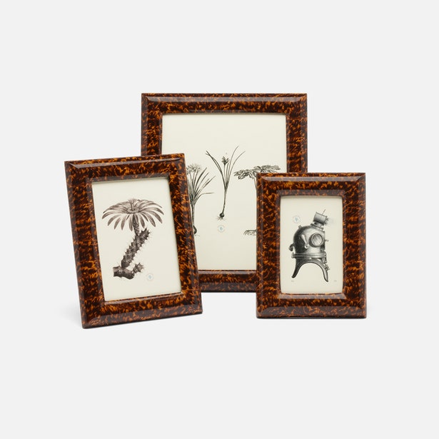 Three tortoiseshell picture frames with botanical prints on a white background