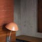 The Touch: Spaces Designed for the Senses