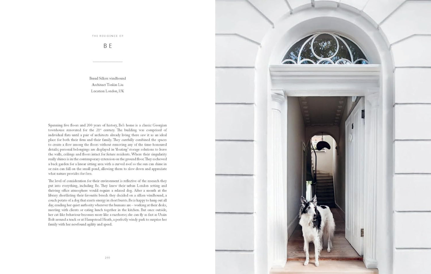 Resident Dog (Volume Two)