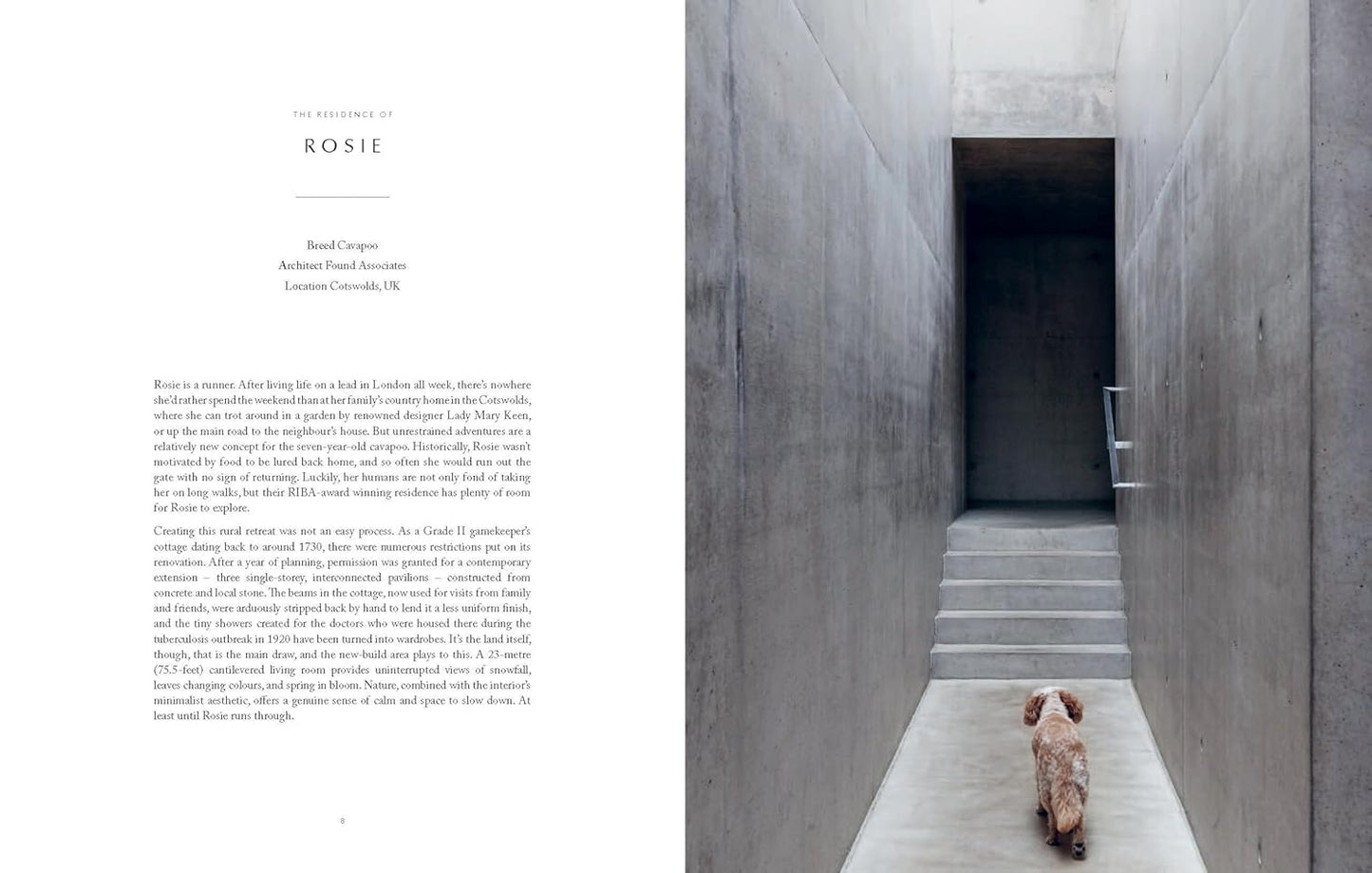 Resident Dog (Volume Two)