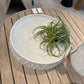 Round white table with a plant on a wooden deck