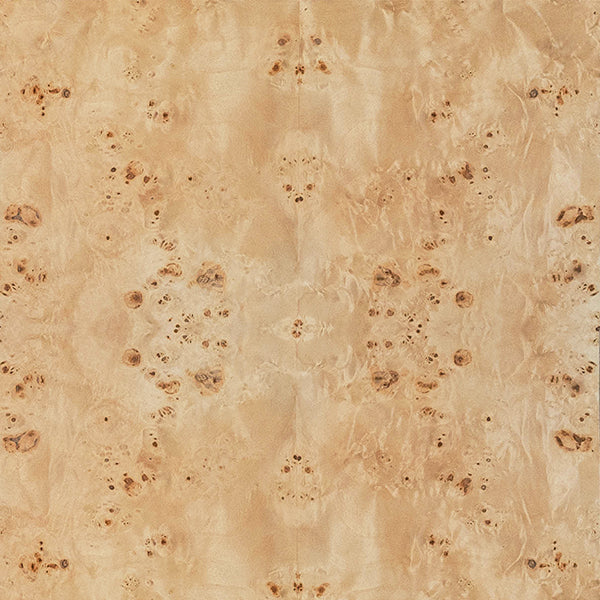 Rafferty Chair Burl Wood