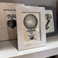 Bethany Frame White Clamshell