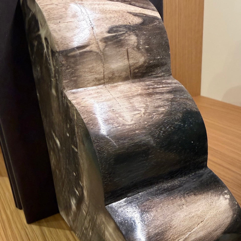 Melina Bookends Dark Petrified Wood