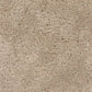 Close-up of beige carpet texture