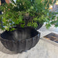 Decorative black planter with green plants on a marble surface