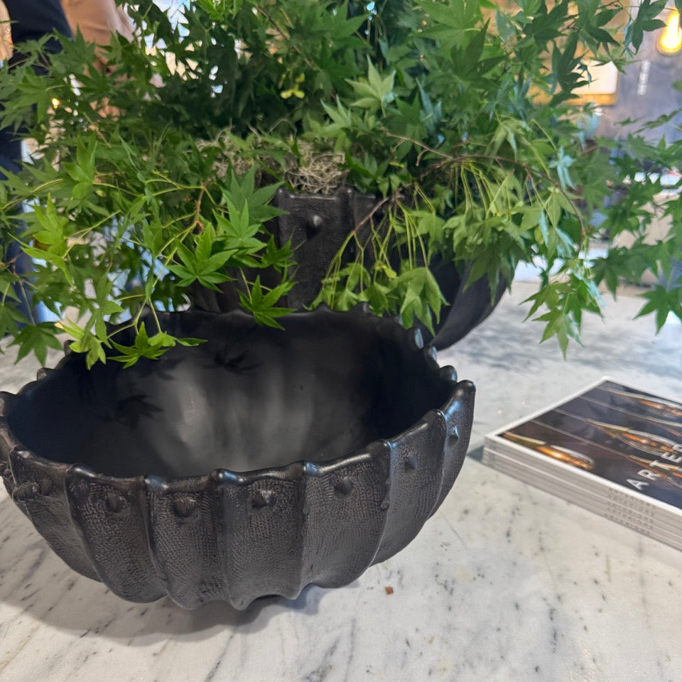Decorative black planter with green plants on a marble surface