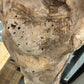Raina Floor Lamp Natural Mix Oyster Shell