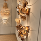 Venus Sconce Natural Saddle Oyster Shell