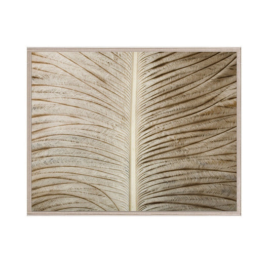 Framed artwork of a close-up of a leaf on a white background