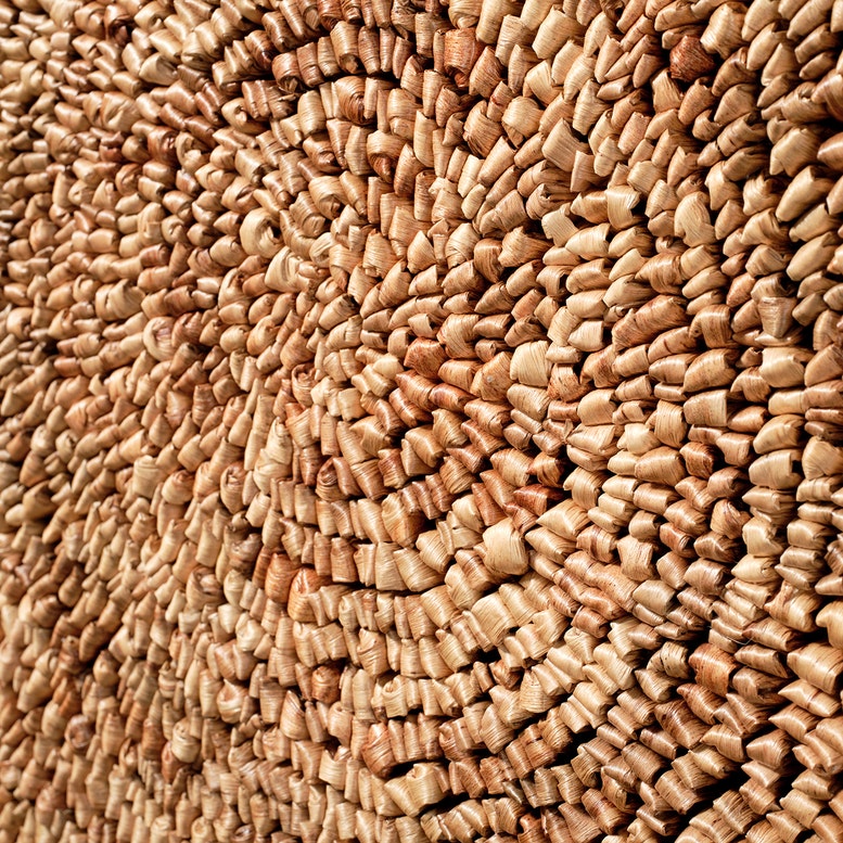 A close-up texture shot of a circular arrangement of small, light brown wood chips or bark pieces tightly packed together.