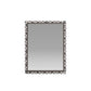 arteriors aghassi mirror front