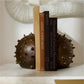 arteriors fenwick bookends lifestyle