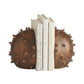 arteriors fenwick bookends 