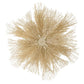 Decorative beige sea urchin wall art on a white background