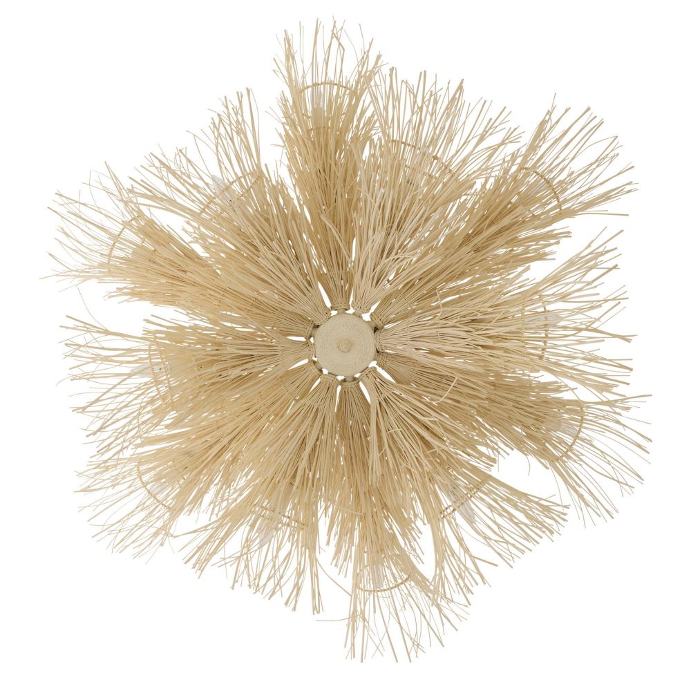 Decorative beige sea urchin wall art on a white background