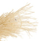 Uncooked spaghetti noodles on a white background