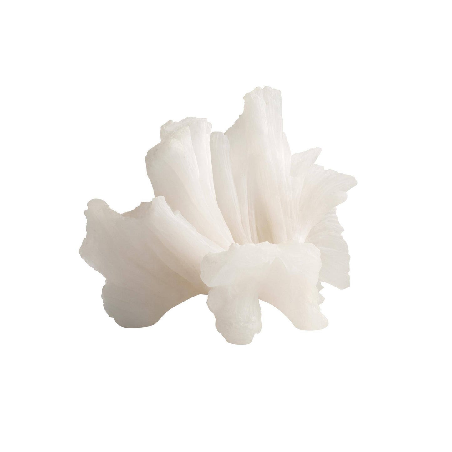 White flower on a white background