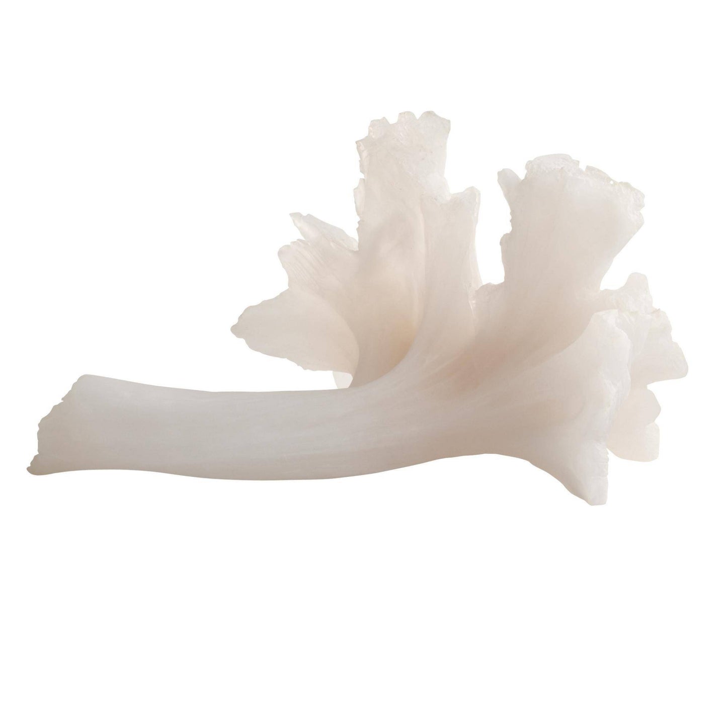 White coral-like object on a white background