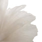 Close-up of a white flower petal on a white background