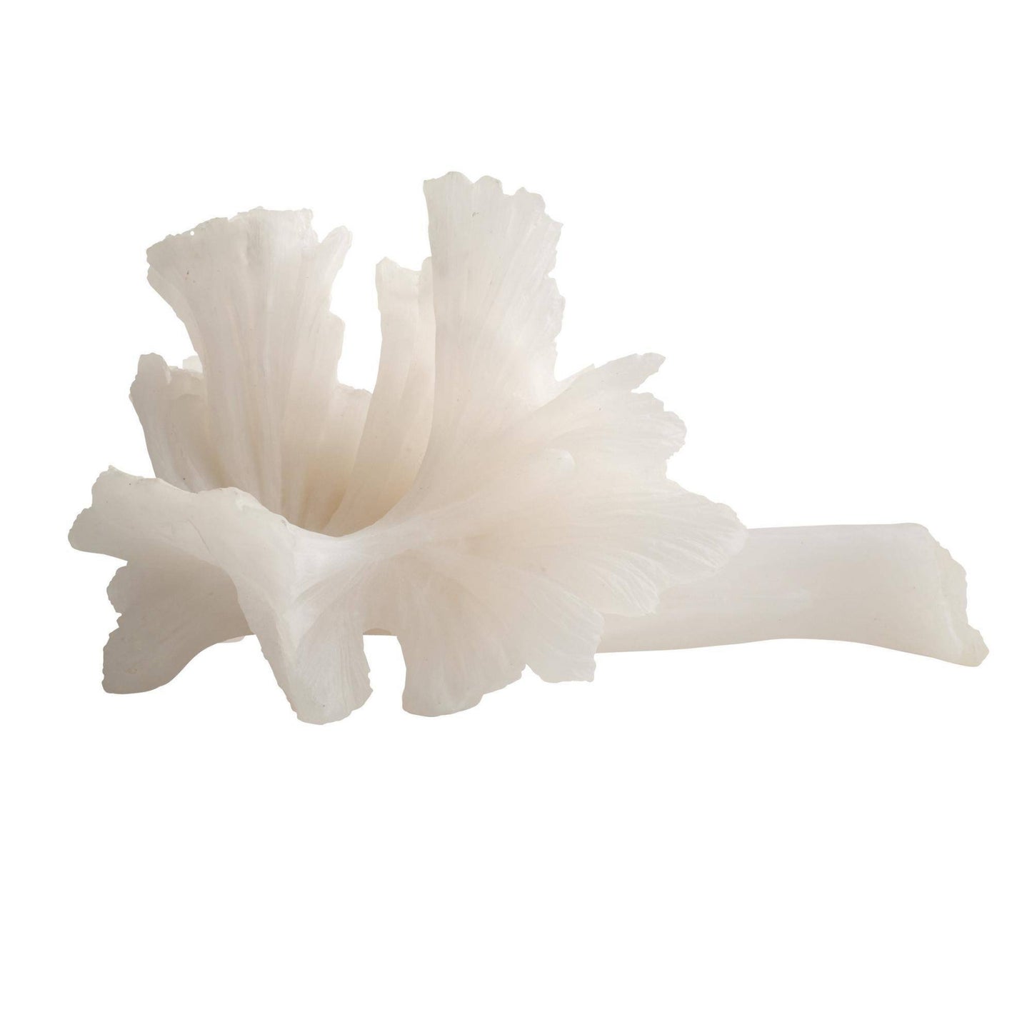 White coral-like structure on a white background