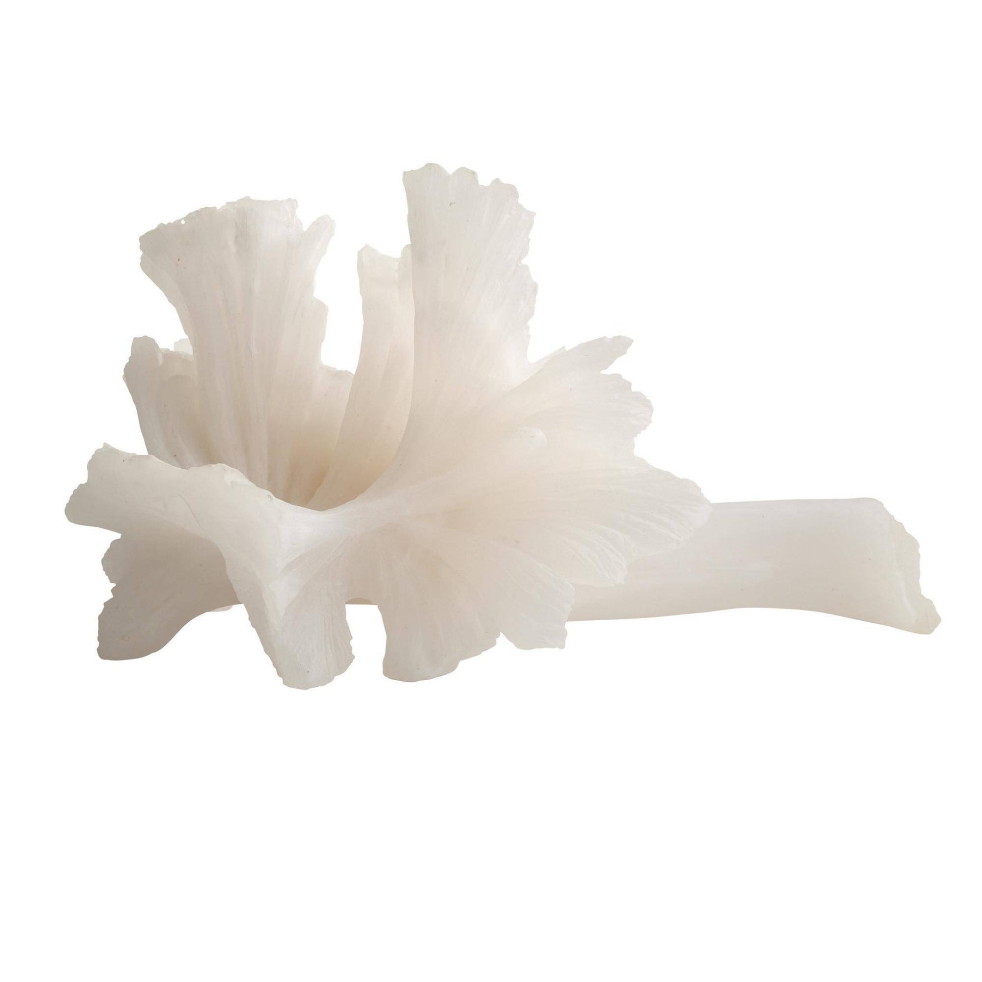 White coral-like structure on a white background