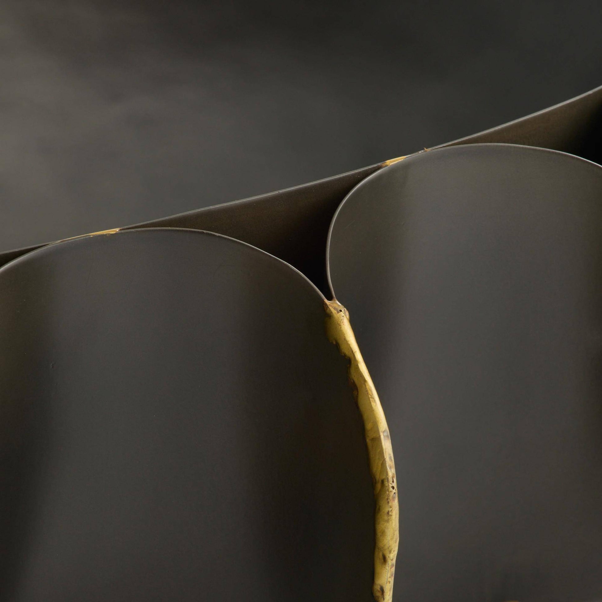 Close-up of a dark green plant with a yellow stem against a black background