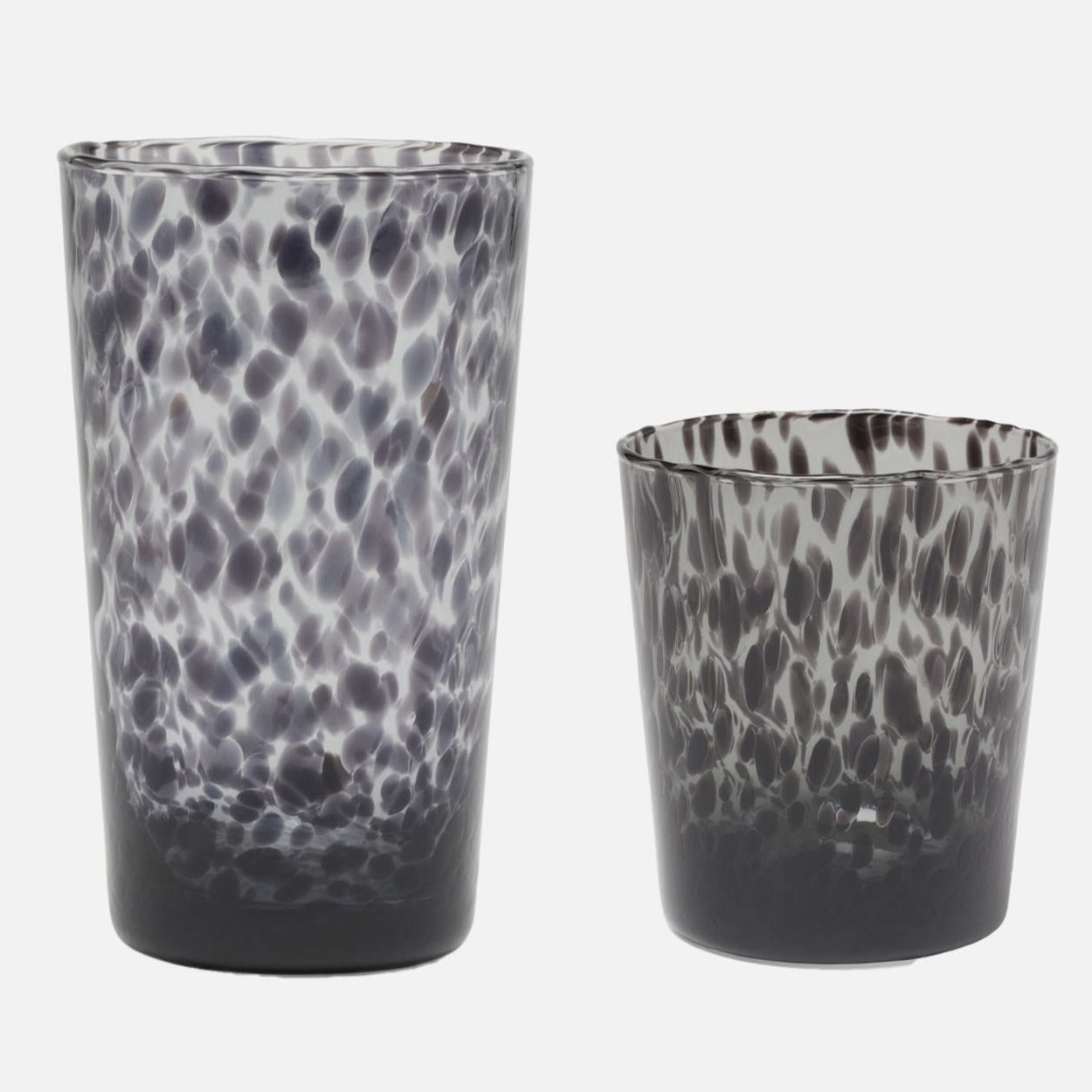 blue pheasant andrew leopard highball and tumbler