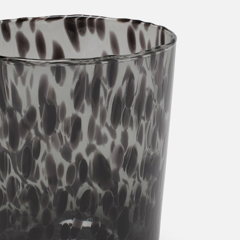 Andrew Leopard Tumbler Set of 6