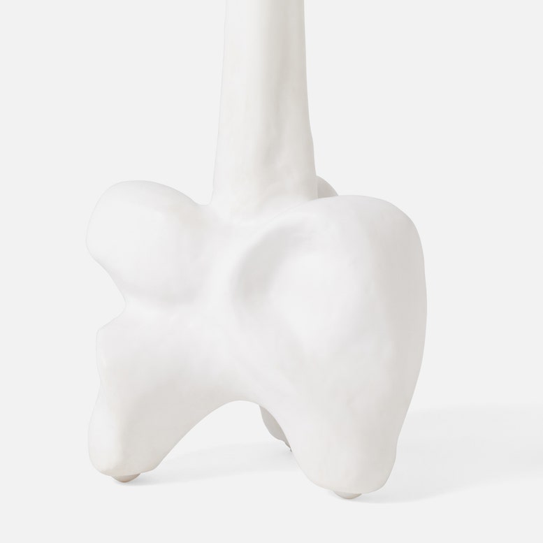 Model of a tooth on a white background
