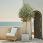 A styled outdoor patio scene with a beige wicker armchair, white cushion, a potted olive tree in a square planter, and an open dark brown arched door set in a cream stucco building overlooking the sea.