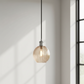 Dax 1 Light Pendant Silver and Clear