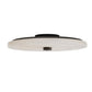 Ceiling light fixture with white glass shade and black metal frame on a white background