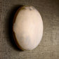 White egg with brown shell on a textured brown surface
