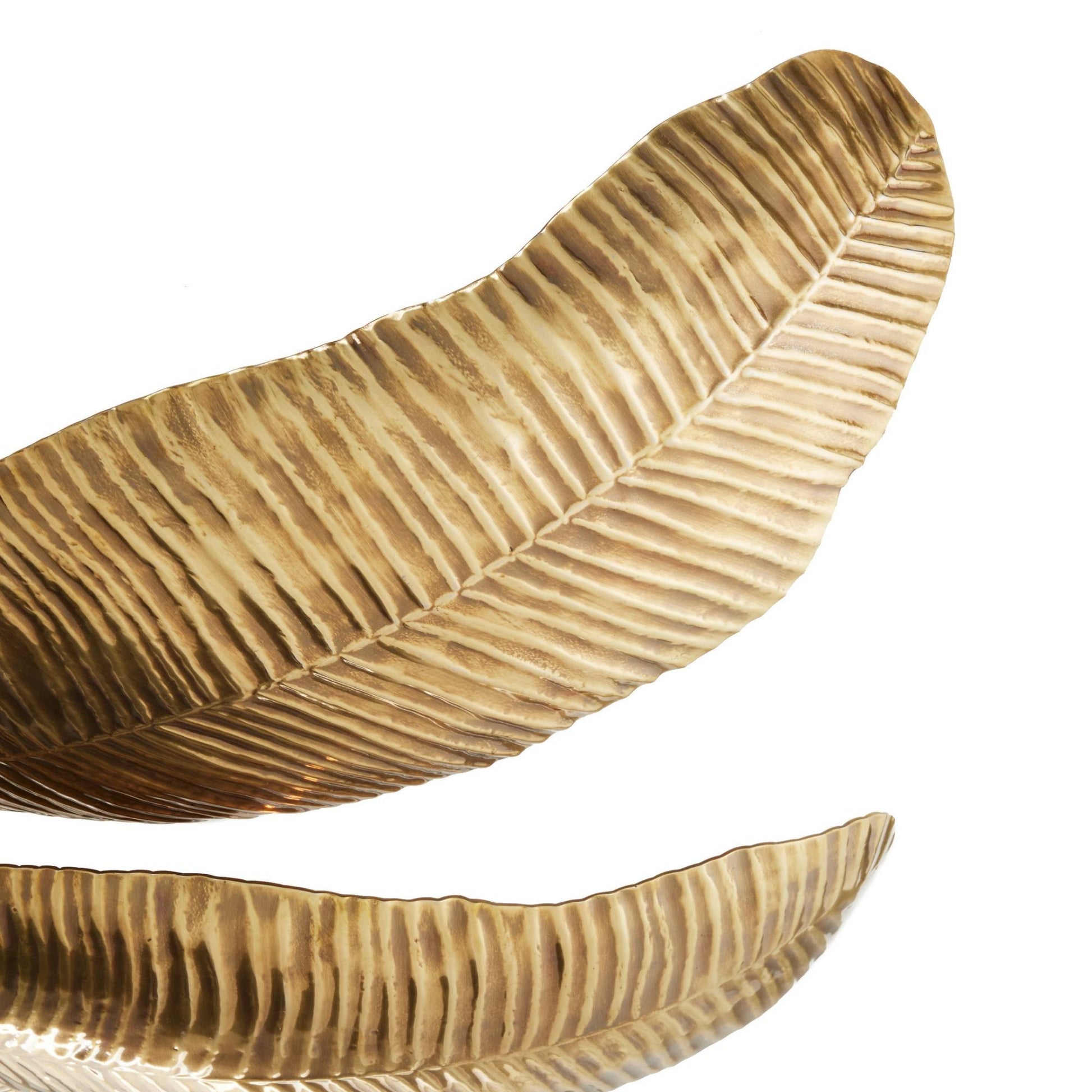 Decorative leaf-shaped flush with a textured surface on a white background