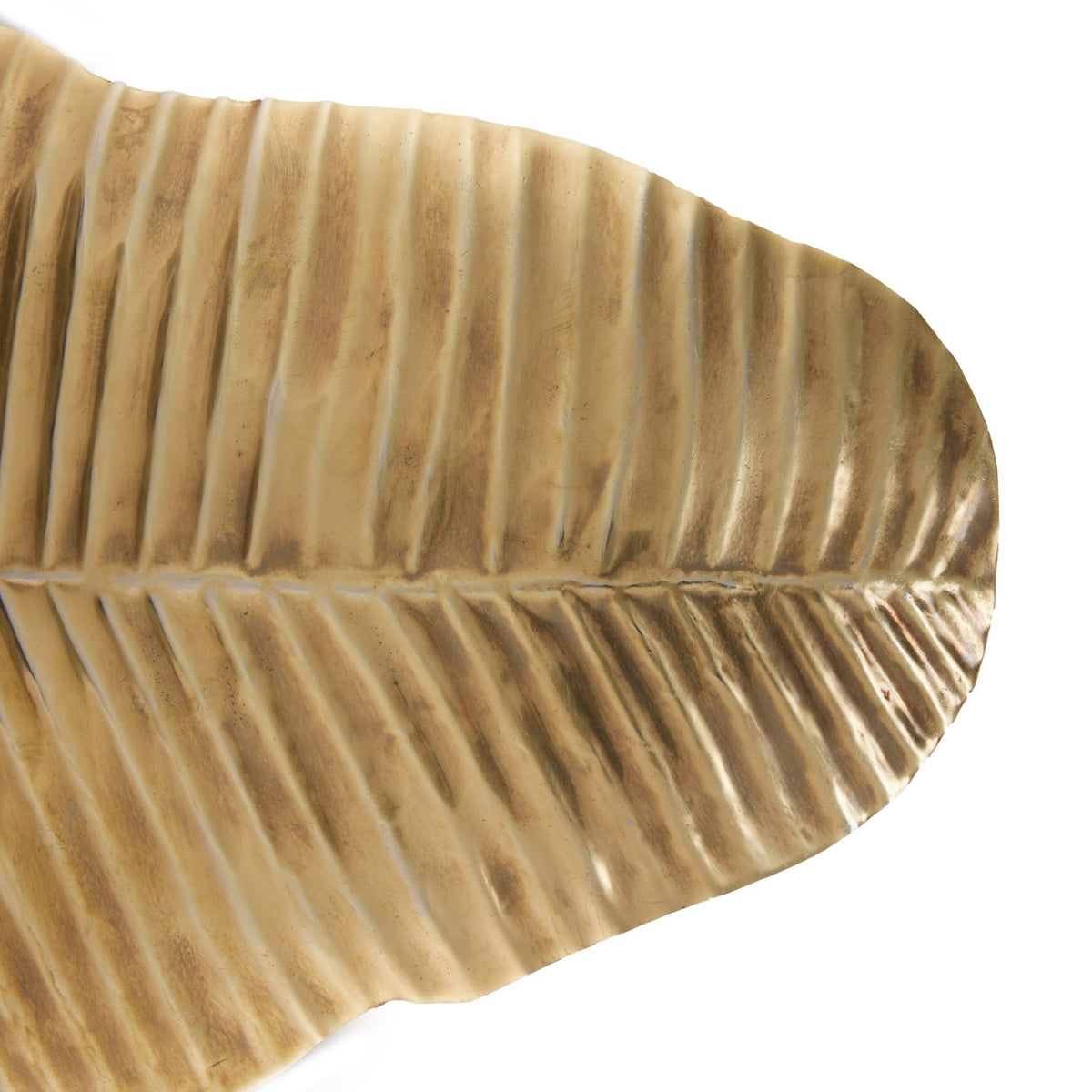 Close-up of a textured gold leaf-shaped object on a white background