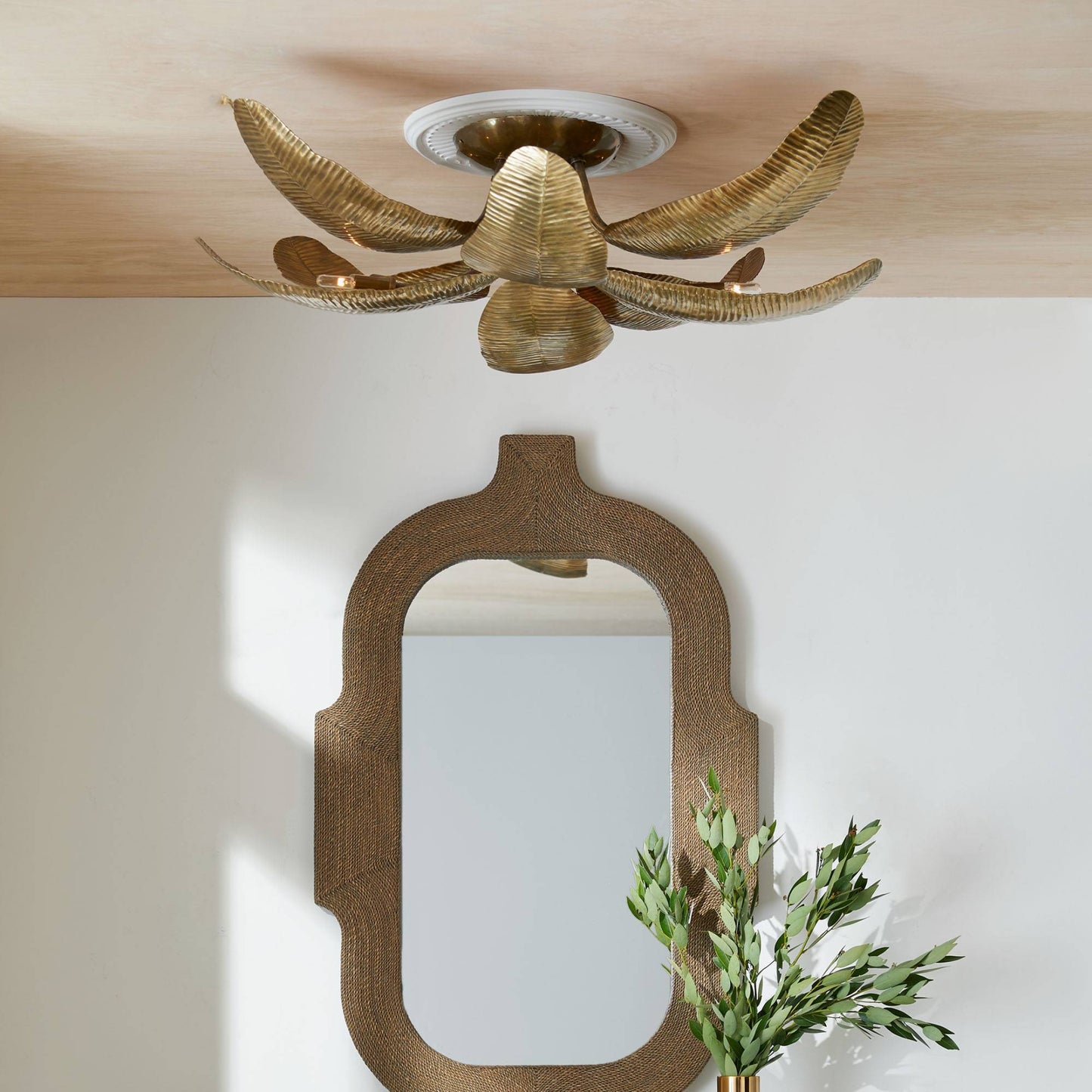 gold flush mount and mirror with a plant on a white wall