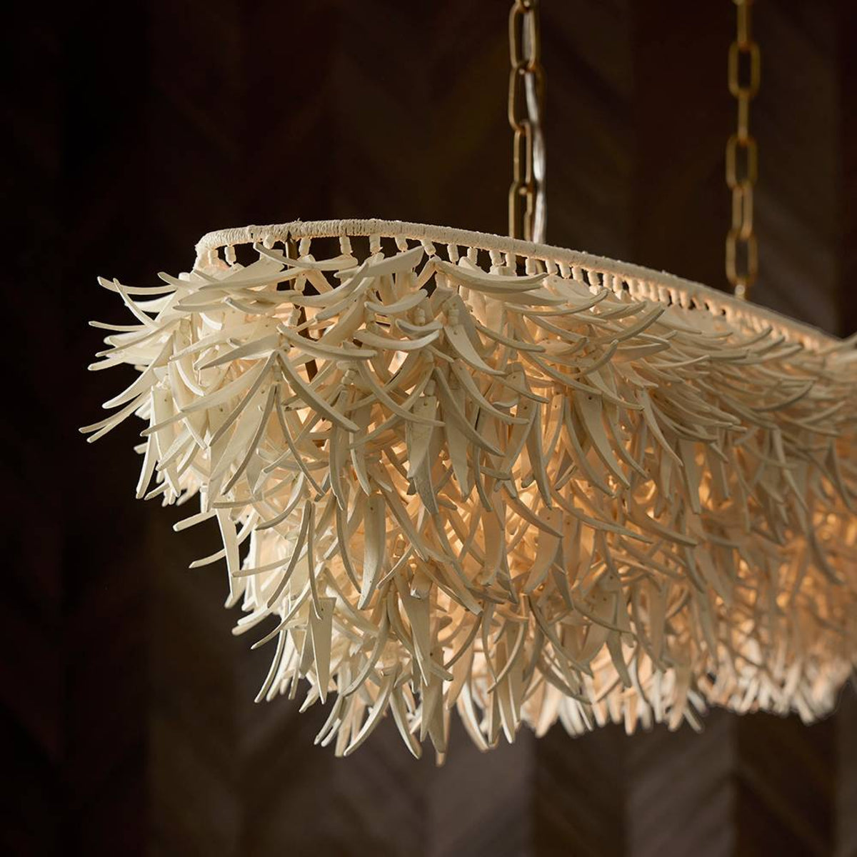 Decorative chandelier with leaf-like design on a dark background