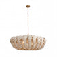 Decorative chandelier with shell-like design on a white background