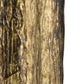 Close-up of textured wooden surface with brown and beige tones